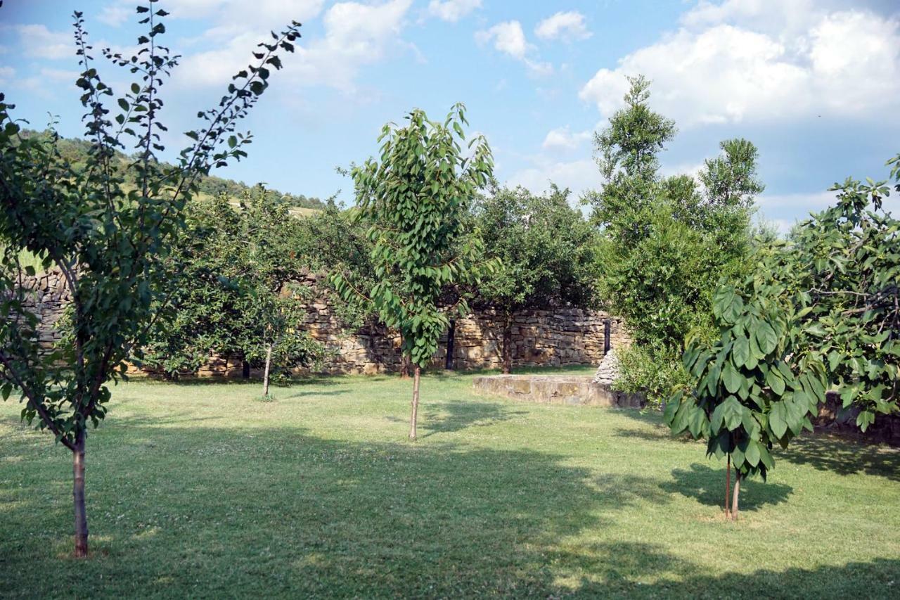 Tourist Farm With Apartments Fig Tree Dekani Экстерьер фото