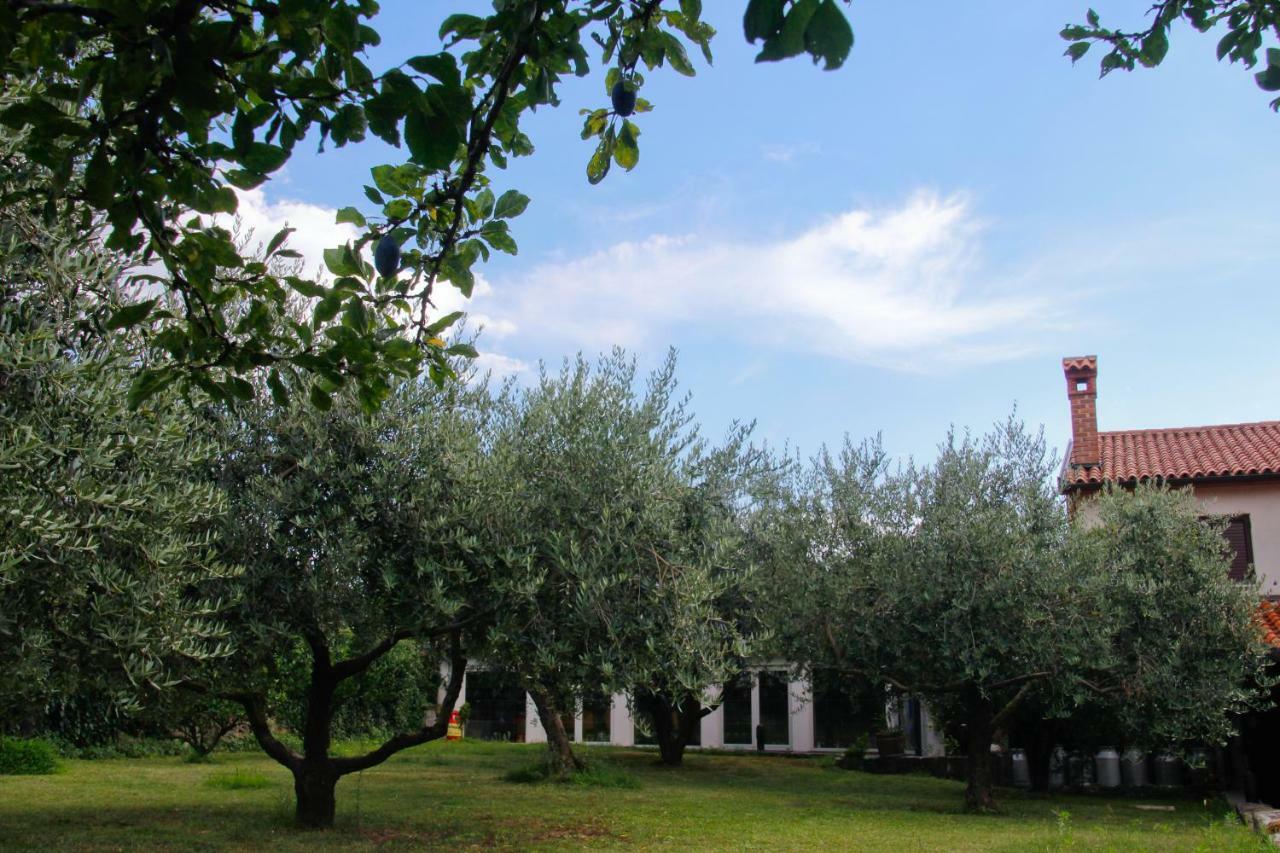 Tourist Farm With Apartments Fig Tree Dekani Экстерьер фото