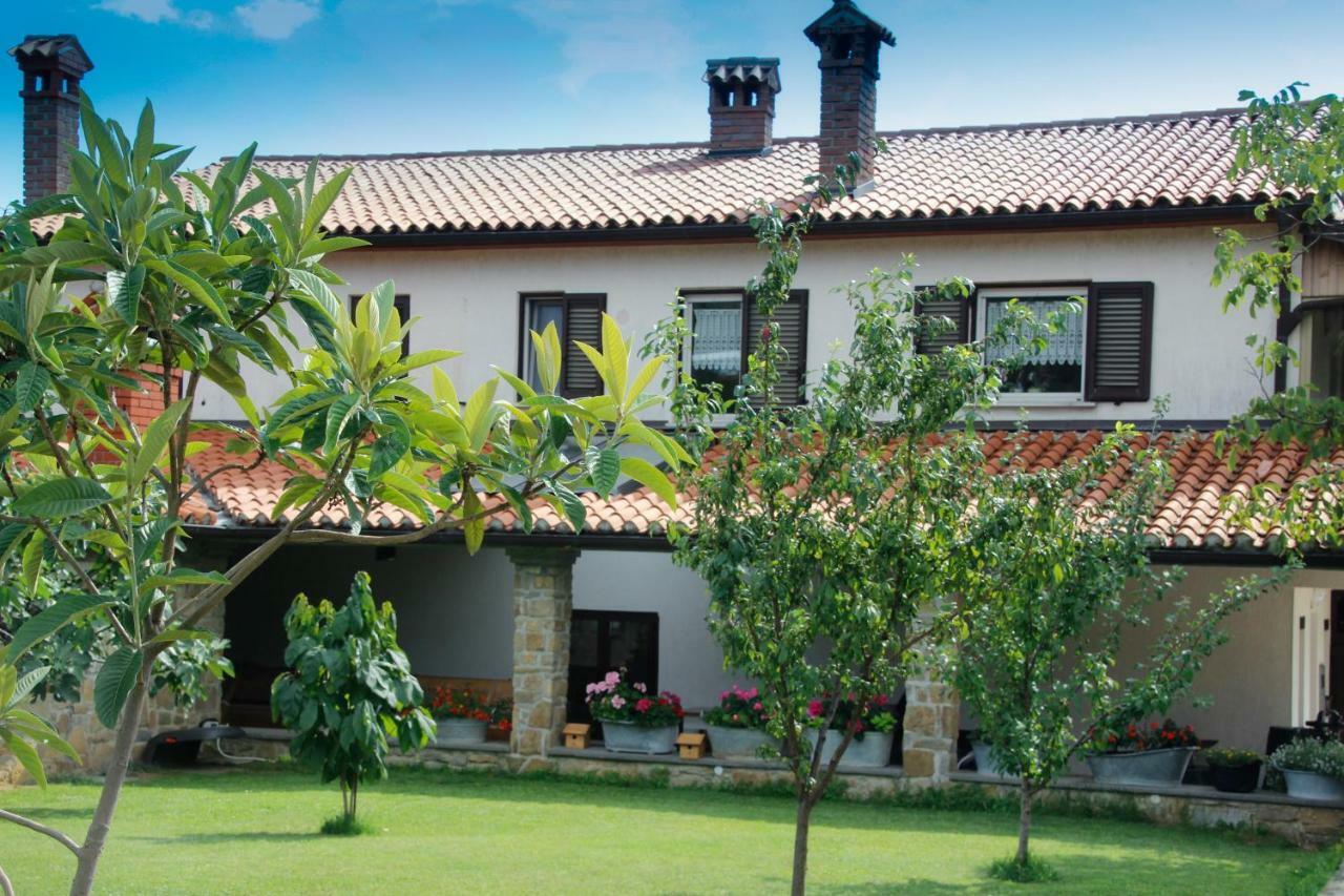 Tourist Farm With Apartments Fig Tree Dekani Экстерьер фото